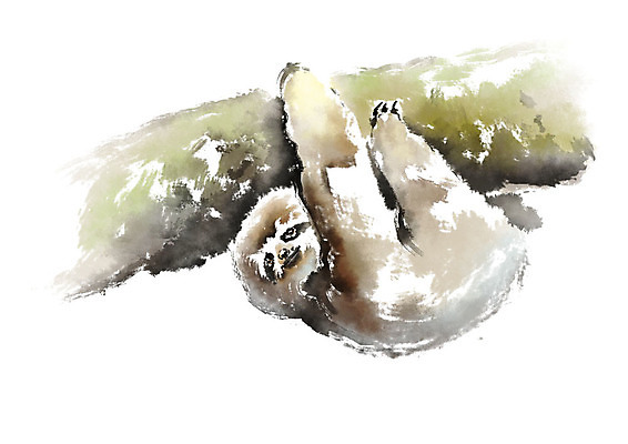 PSD 나무 동물 한마리 일러스트 캘리그라피 붓터치 매달리기 사람없음 번짐 나무늘보 국내일러스트 식물 1 모션 파일형식 효과