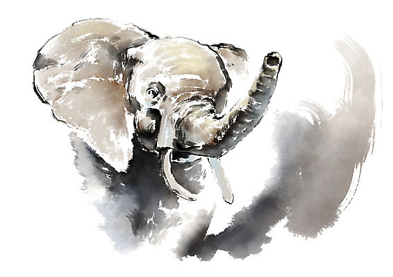 PSD 동물 한마리 일러스트 캘리그라피 붓터치 코끼리 사람없음 번짐 국내일러스트 1 포유류 파일형식 효과