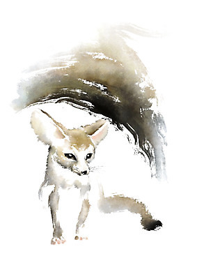 PSD 동물 한마리 응시 일러스트 캘리그라피 붓터치 사람없음 번짐 사막여우 국내일러스트 1 시선 여우 파일형식 효과