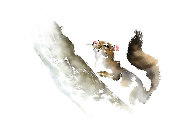 PSD 나무 동물 한마리 응시 일러스트 캘리그라피 붓터치 사람없음 다람쥐 번짐 국내일러스트 식물 1 시선 설치류 파일형식 효과