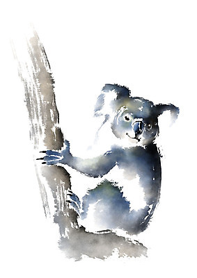 PSD 나무 동물 한마리 응시 일러스트 캘리그라피 붓터치 매달리기 미소 사람없음 번짐 코알라 국내일러스트 식물 1 시선 포유류 모션 표정 파일형식 효과