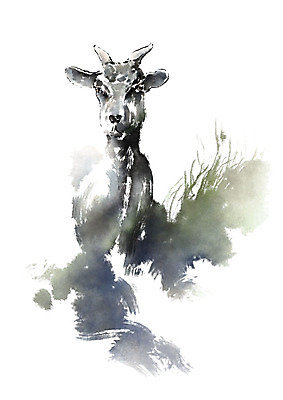 PSD 동물 한마리 일러스트 캘리그라피 붓터치 염소 사람없음 숲 번짐 국내일러스트 1 포유류 파일형식 효과