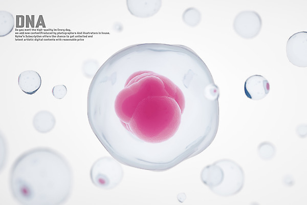 PSD 편집이미지 세포 사람없음 3D소스 3D DNA 디지털합성 염색체 세포핵 게놈프로젝트 이미지편집 편집3D 생명공학 파일형식