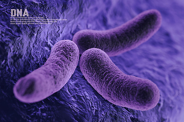 PSD 편집이미지 세포 사람없음 3D소스 3D DNA 디지털합성 염색체 게놈프로젝트 이미지편집 편집3D 생명공학 파일형식