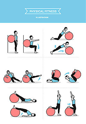 전신 여자 일러스트 사람 여러명 성인 운동 손들기 짐볼 옆구리운동 다리들기 하체운동 국내일러스트 AI파일 다수 모션 건강 스트레칭 파일형식 벡터