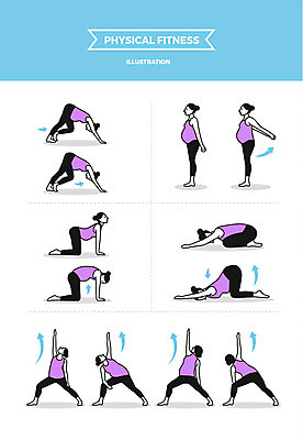 전신 여자 일러스트 요가 사람 여러명 성인 운동 스트레칭 요가자세 임산부요가 국내일러스트 AI파일 웰빙 포즈 다수 건강 파일형식 벡터