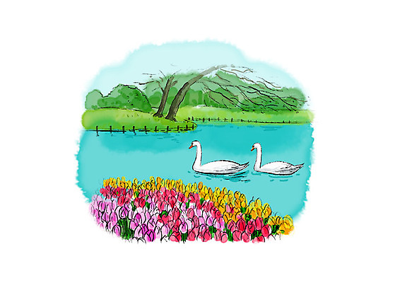 PSD 나무 호수 두마리 꽃밭 일러스트 캘리그라피 자연 조류 붓터치 풍경 잔디 초원 사람없음 강 튤립 백조 번짐 국내일러스트 식물 동물 꽃 2 생태계 파일형식 효과