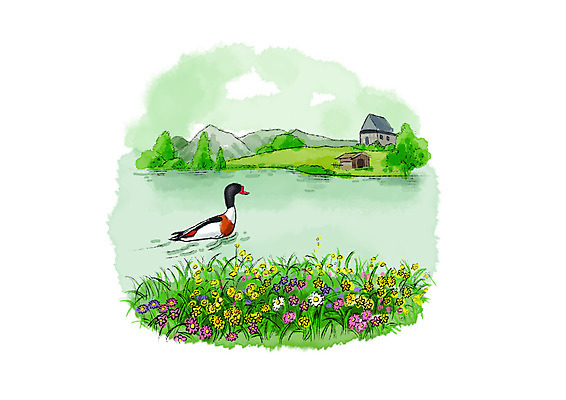 PSD 나무 한마리 호수 일러스트 캘리그라피 조류 붓터치 산 주택 풍경 초원 사람없음 강 들꽃 번짐 헛간 청둥오리 국내일러스트 식물 동물 1 꽃 오리 건물 저장고 파일형식 효과