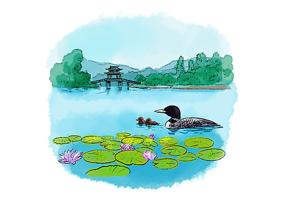 PSD 나무 호수 일러스트 캘리그라피 조류 붓터치 산 오리 연꽃 세마리 풍경 사람없음 강 숲 연잎 정자 번짐 국내일러스트 식물 동물 건축물 꽃 잎 3 파일형식 효과