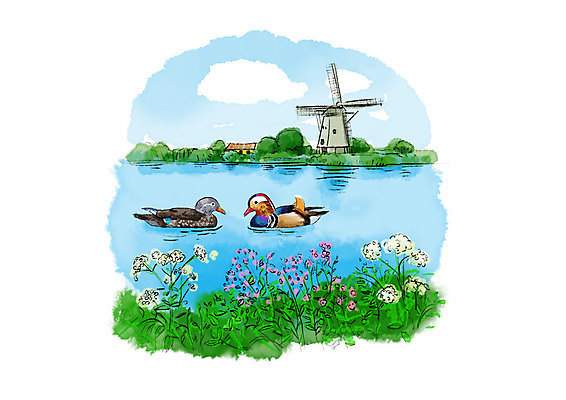 PSD 나무 호수 두마리 일러스트 캘리그라피 조류 붓터치 풍경 사람없음 강 들꽃 풍차 숲 원앙 들풀 번짐 국내일러스트 식물 동물 꽃 2 파일형식 효과