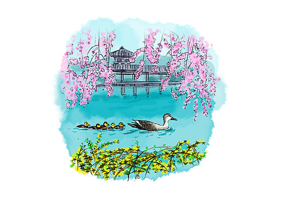 PSD 호수 여러마리 일러스트 캘리그라피 조류 붓터치 풍경 사람없음 강 개나리 정자 번짐 청둥오리 꽃가지 국내일러스트 동물 건축물 꽃 다수 오리 나뭇가지 파일형식 효과