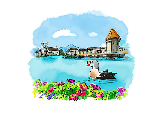 PSD 구름 한마리 호수 일러스트 캘리그라피 조류 하늘 붓터치 풍경 사람없음 강 들꽃 들풀 번짐 청둥오리 국내일러스트 자연요소 동물 1 꽃 오리 파일형식 효과