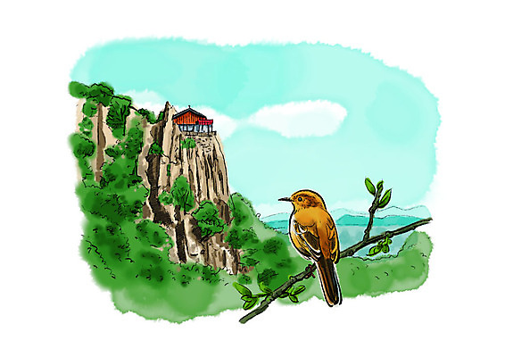 PSD 나무 구름 한마리 일러스트 캘리그라피 자연 조류 붓터치 앉기 풍경 사람없음 절벽 나뭇가지 사찰 숲속 번짐 참새 국내일러스트 자연요소 식물 동물 1 종교건축 모션 숲 생태계 파일형식 효과