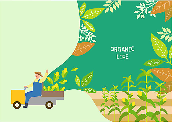 전신 라이프스타일 남자 일러스트 나뭇잎 옥수수 한명 미소 사람 성인 손들기 농사 운전 수확 나뭇가지 인사 농부 농기구 즐거움 유기농 옥수수밭 국내일러스트 AI파일 나무 직업 1 웰빙 감정 잎 밭 농업 모션 곡류 표정 생활 예절 파일형식 벡터