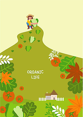 전신 라이프스타일 여자 단풍 토마토 일러스트 주택 한명 미소 사람 앉기 성인 농작물 울타리 농사 수확 가을 시골 농부 언덕 배추 유기농 밀짚모자 배추밭 밭농사 뽑기 국내일러스트 AI파일 직업 모자_잡화 1 웰빙 계절 잎 밭 농업 채소 모션 표정 건물 생활 담장 파일형식 벡터