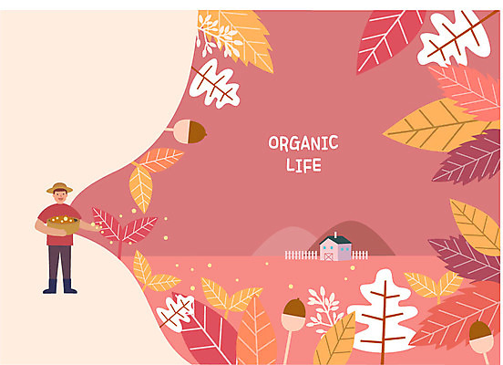 전신 라이프스타일 남자 단풍 밭 일러스트 나뭇잎 주택 씨앗 한명 사람 성인 울타리 농사 가을 나뭇가지 농부 유기농 도토리 씨뿌리기 국내일러스트 AI파일 나무 식물 직업 1 웰빙 계절 잎 농업 모션 건물 생활 담장 견과류 파일형식 벡터