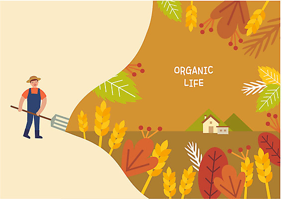전신 라이프스타일 열매 남자 단풍 일러스트 나뭇잎 산 주택 논 한명 미소 사람 성인 농사 벼 가을 나뭇가지 농부 유기농 곡괭이 논농사 국내일러스트 AI파일 나무 식물 직업 1 웰빙 계절 잎 농업 곡류 표정 건물 생활 파일형식 벡터