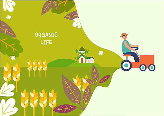 전신 라이프스타일 남자 일러스트 나뭇잎 주택 논 한명 미소 사람 성인 농사 운전 풍차 벼 나뭇가지 농부 농기구 언덕 유기농 논농사 국내일러스트 AI파일 나무 직업 1 웰빙 잎 농업 모션 곡류 표정 건물 생활 파일형식 벡터