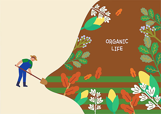 전신 라이프스타일 남자 단풍 밭 일러스트 나뭇잎 옥수수 한명 미소 사람 성인 농사 나뭇가지 농부 삽 유기농 챙모자 국내일러스트 AI파일 나무 직업 모자_잡화 1 웰빙 잎 농업 곡류 표정 생활 파일형식 벡터