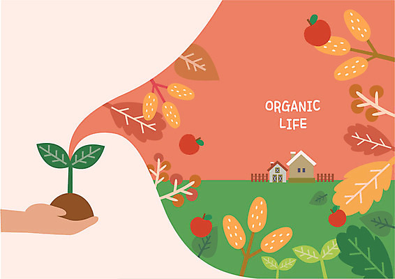 라이프스타일 손 일러스트 나뭇잎 주택 한명 사람 초원 성인 신체부위 울타리 농장 새싹 흙 양손 나뭇가지 시골 사과 유기농 헛간 국내일러스트 AI파일 나무 식물 1 웰빙 잎 농업 과일 건물 생활 담장 저장고 파일형식 벡터