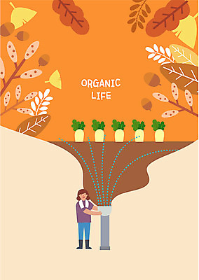 전신 라이프스타일 여자 낙엽 밭 일러스트 나뭇잎 한명 미소 사람 성인 수건 농사 나뭇가지 농부 무 물주기 유기농 은행잎 도토리 물뿌리기 국내일러스트 AI파일 나무 직업 1 웰빙 잎 농업 모션 뿌리채소 표정 생활 위생용품 견과류 파일형식 벡터