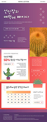PSD 템플릿 ZIP 화분 웹템플릿 생각 표시 선인장 사람없음 세일 매력적 달력 원형 물주기 뉴스레터 반값 이미지템플릿 도형 식물 컨셉 모션 파일형식