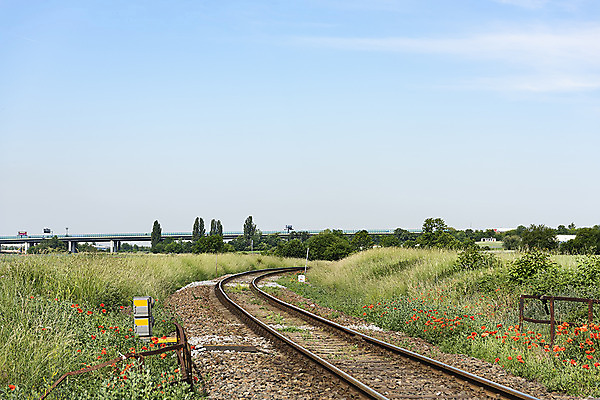 포토 JPG 주간 나무 구름 해외풍경 유럽풍경 하늘 풍경 초원 사람없음 야외 흙 기찻길 원근감 들꽃 조약돌 잡초 들풀 체코 프라하 철도의날 국내포토 자연요소 식물 해외 꽃 유럽 뷰포인트 돌_바위 파일형식 법정기념일