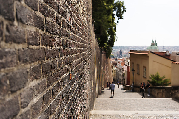 포토 JPG 주간 전신 해외풍경 유럽풍경 돌담 사람 풍경 여러명 야외 아웃포커스 담장 도시풍경 여행객 계단 원근감 덩굴 체코 프라하 국내포토 자연요소 식물 해외 유럽 뷰포인트 다수 촬영기법 돌_바위 도시 파일형식