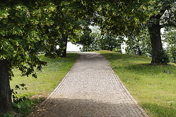 포토 JPG 주간 나무 해외풍경 공원 유럽풍경 풍경 잔디 사람없음 야외 도시풍경 산책로 원근감 체코 프라하 해외도시 국내포토 자연요소 식물 해외 공공시설 유럽 길 뷰포인트 도시 파일형식