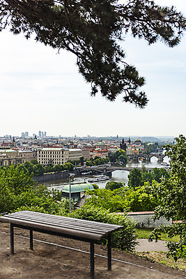 포토 JPG 주간 나무 구름 해외풍경 벤치 유럽풍경 하늘 유럽건축 풍경 사람없음 야외 강 도시풍경 나뭇가지 체코 프라하 해외도시 가교 국내포토 자연요소 식물 해외 건축물 유럽 의자 서양건축 도시 파일형식