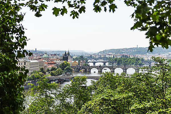 포토 JPG 주간 나무 해외풍경 유럽풍경 유럽건축 풍경 사람없음 야외 강 도시풍경 성 체코 프라하 카를교 해외도시 가교 국내포토 자연요소 식물 해외 건축물 유럽 서양건축 다리_건축물 도시 파일형식