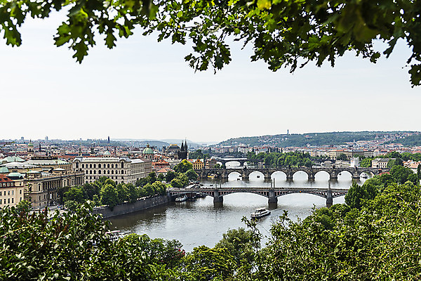 포토 JPG 주간 나무 해외풍경 유럽풍경 유럽건축 풍경 사람없음 야외 강 도시풍경 숲 체코 프라하 카를교 해외도시 가교 국내포토 자연요소 식물 해외 건축물 유럽 서양건축 다리_건축물 도시 파일형식