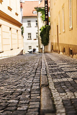포토 JPG 주간 나무 해외풍경 유럽풍경 창문 풍경 사람없음 야외 건물 도시풍경 골목길 체코 프라하 보도블록 국내포토 자연요소 식물 해외 건축물 유럽 길 도시 파일형식