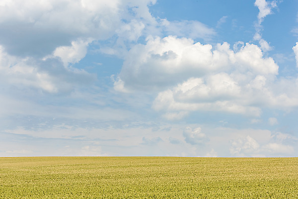 포토 JPG 주간 구름 해외풍경 해외 유럽 여행 자연 하늘 풍경 초원 사람없음 야외 맑음 보리 체코 보리밭 모라비아 국내포토 자연요소 나라 밭 날씨 곡류 생태계 파일형식