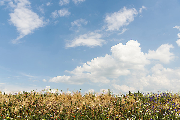 포토 JPG 주간 구름 해외풍경 해외 유럽 여행 자연 하늘 풍경 초원 사람없음 야외 맑음 체코 모라비아 국내포토 자연요소 나라 날씨 생태계 파일형식