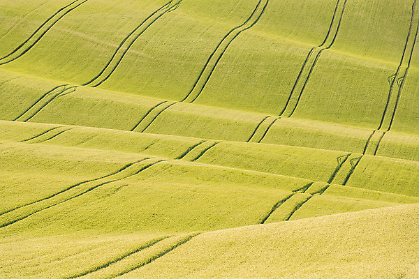 포토 JPG 주간 해외풍경 해외 유럽 여행 자연 풍경 초원 사람없음 야외 체코 모라비아 국내포토 자연요소 나라 생태계 파일형식