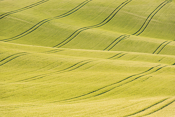 포토 JPG 주간 해외풍경 해외 유럽 여행 자연 풍경 초원 사람없음 야외 체코 모라비아 국내포토 자연요소 나라 생태계 파일형식