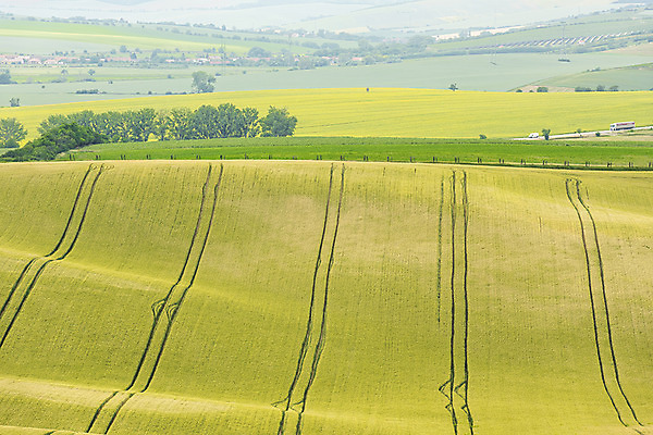 포토 JPG 주간 나무 해외풍경 해외 유럽 여행 자연 풍경 초원 사람없음 야외 체코 모라비아 국내포토 자연요소 식물 나라 생태계 파일형식