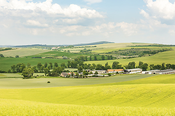포토 JPG 주간 나무 해외풍경 해외 유럽 여행 자연 주택 풍경 초원 사람없음 야외 체코 모라비아 국내포토 자연요소 식물 나라 건물 생태계 파일형식