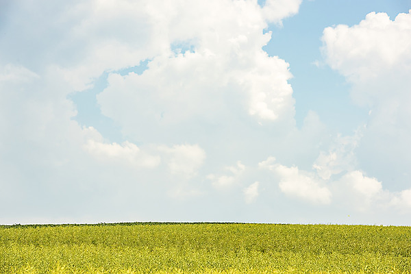 포토 JPG 주간 구름 해외풍경 해외 유럽 여행 자연 하늘 풍경 초원 사람없음 야외 맑음 체코 모라비아 국내포토 자연요소 나라 날씨 생태계 파일형식
