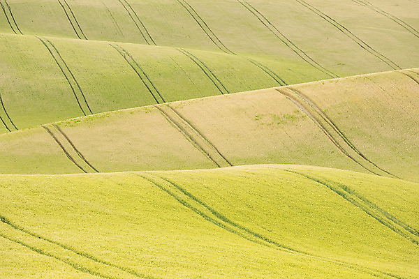 포토 JPG 주간 해외풍경 해외 유럽 여행 자연 풍경 초원 사람없음 야외 체코 모라비아 국내포토 자연요소 나라 생태계 파일형식