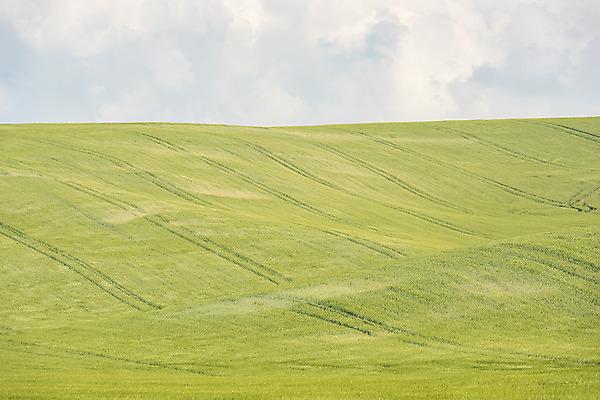 포토 JPG 주간 구름 해외풍경 해외 유럽 여행 자연 하늘 풍경 초원 사람없음 야외 맑음 체코 모라비아 국내포토 자연요소 나라 날씨 생태계 파일형식
