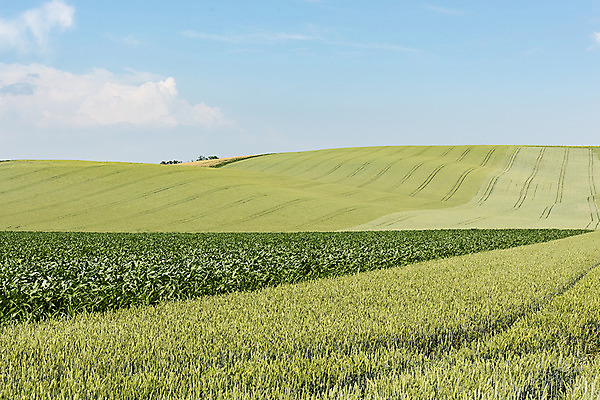 포토 JPG 주간 구름 해외풍경 해외 유럽 여행 자연 하늘 풍경 초원 사람없음 야외 맑음 체코 모라비아 국내포토 자연요소 나라 날씨 생태계 파일형식
