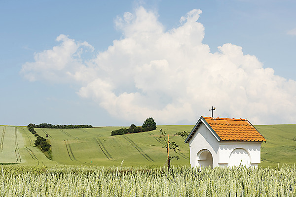포토 JPG 주간 나무 구름 해외풍경 해외 유럽 여행 자연 하늘 풍경 초원 사람없음 야외 성당 맑음 체코 모라비아 국내포토 자연요소 식물 나라 종교건축 날씨 생태계 파일형식