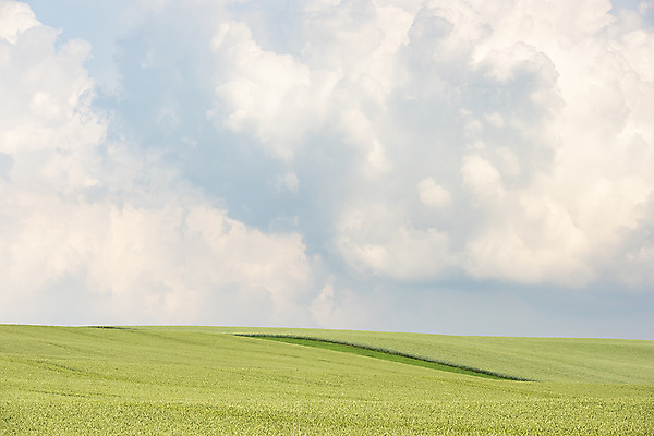 포토 JPG 주간 구름 해외풍경 해외 유럽 여행 자연 하늘 풍경 초원 사람없음 야외 맑음 체코 모라비아 국내포토 자연요소 나라 날씨 생태계 파일형식