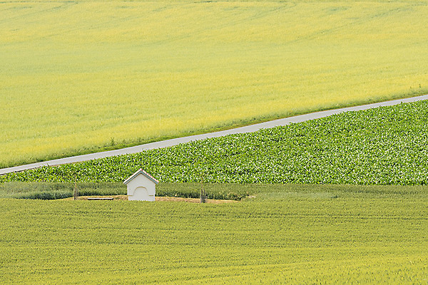 포토 JPG 주간 해외풍경 해외 유럽 길 여행 자연 풍경 초원 사람없음 야외 성당 체코 모라비아 국내포토 자연요소 나라 종교건축 생태계 파일형식