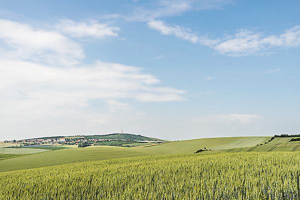 포토 JPG 주간 구름 해외풍경 해외 유럽 여행 자연 하늘 풍경 초원 사람없음 야외 맑음 체코 모라비아 국내포토 자연요소 나라 날씨 생태계 파일형식