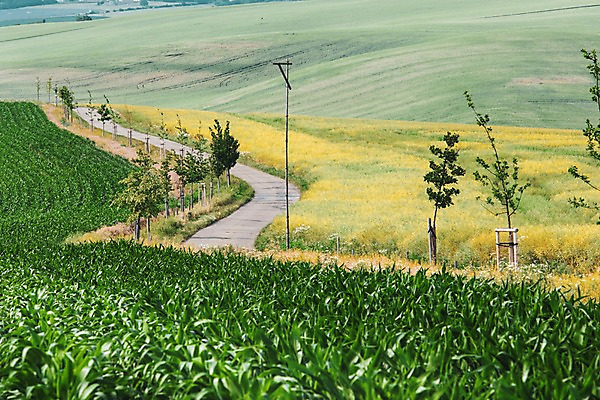 포토 JPG 주간 해외풍경 해외 유럽 여행 자연 풍경 초원 사람없음 야외 체코 모라비아 국내포토 자연요소 나라 생태계 파일형식