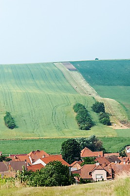 포토 JPG 주간 나무 해외풍경 해외 유럽 여행 자연 주택 풍경 초원 사람없음 야외 체코 모라비아 국내포토 자연요소 식물 나라 건물 생태계 파일형식