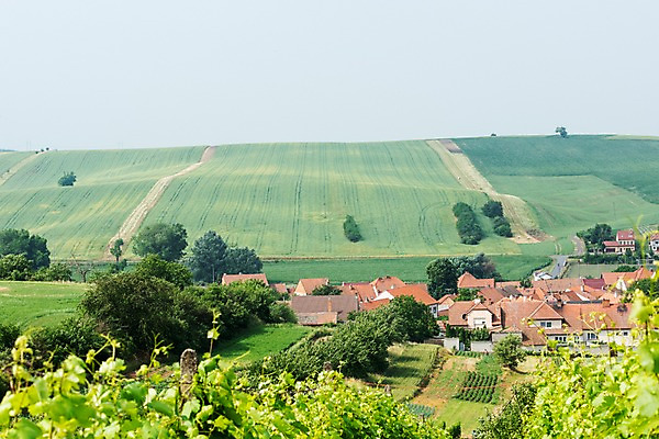 포토 JPG 주간 나무 해외풍경 해외 유럽 여행 자연 주택 풍경 초원 사람없음 야외 체코 모라비아 국내포토 자연요소 식물 나라 건물 생태계 파일형식